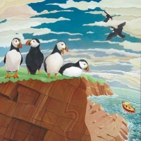 Puffins