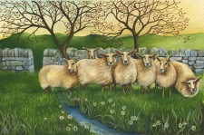 Windy Sheep
